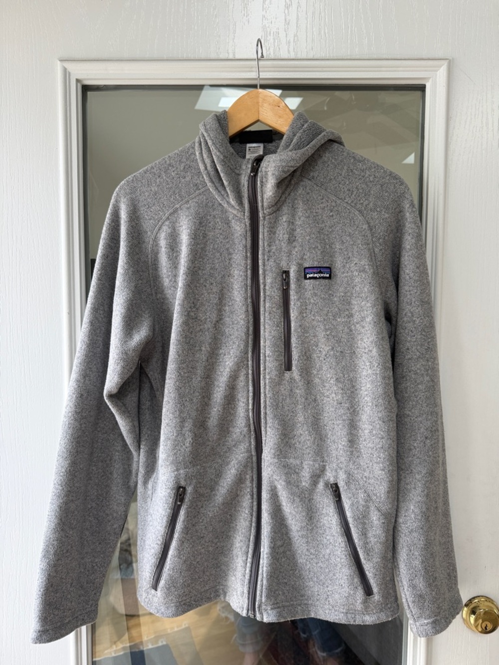 Patagonia Men's Light Gray Full-Zip Hooded Fleece Jacket